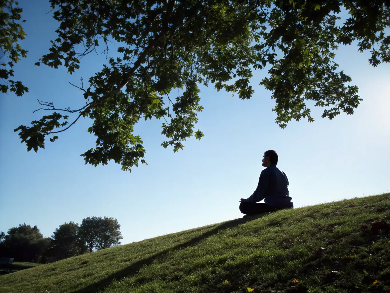 A serene image of a person meditating in nature while listening to music through headphones, with subtle sound waves visualized around them.